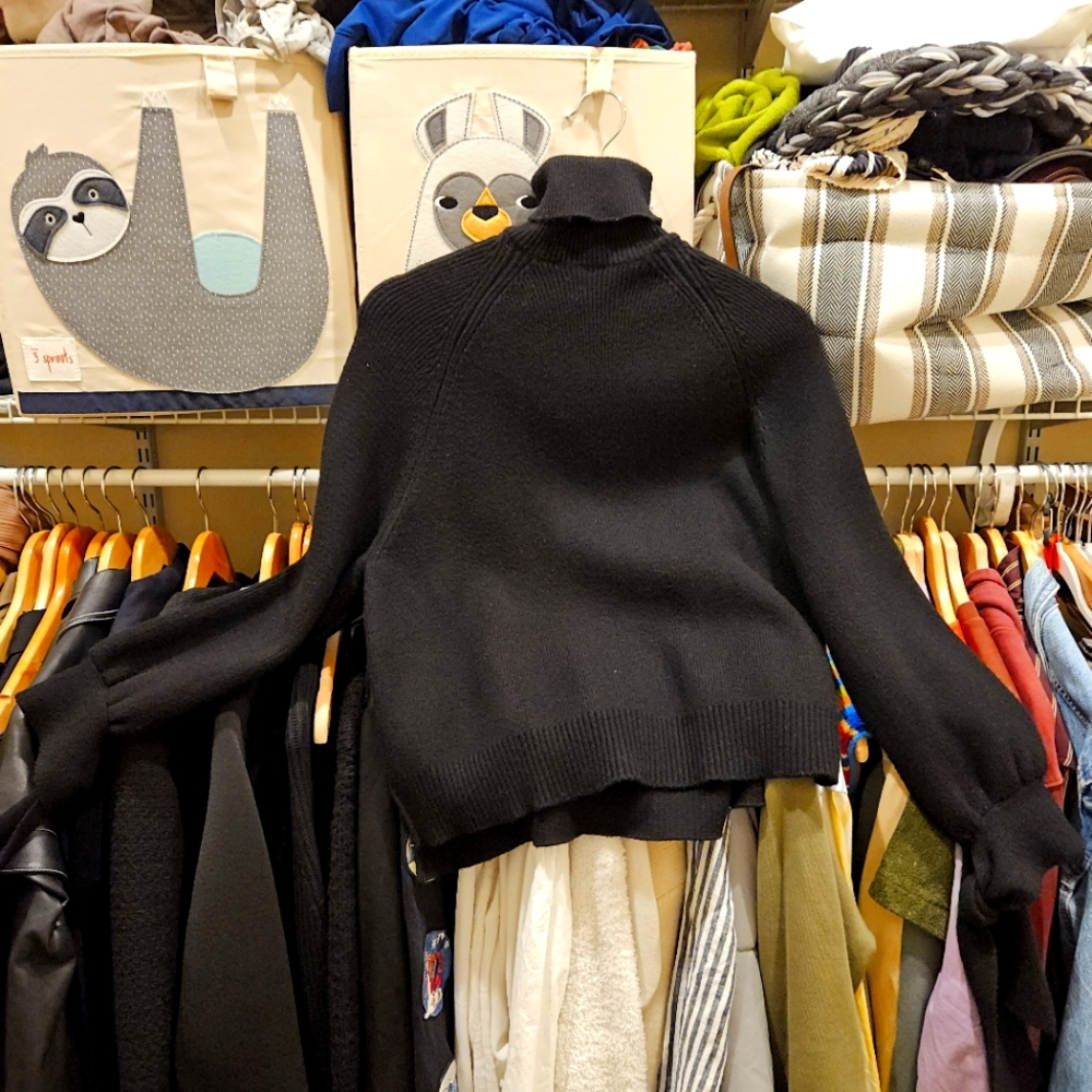 Zara Turtleneck Sweater